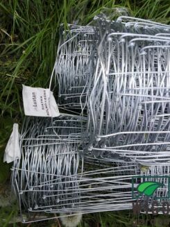 Siatka ogrodzeniowa rolno-leśna oczko 10x30 1,5x25m - 2